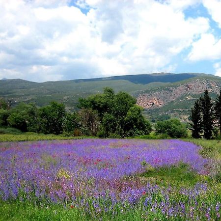 Отель La Petite Planete Mykines Экстерьер фото